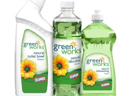 Expectativas de éxito del proyecto