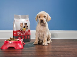 Flexible Packaging Primer